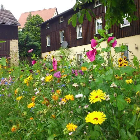 Modern In Weissig Saxony With Garden