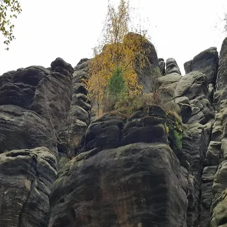 Apartment Chicke In *