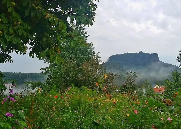 Chicke In Apartamento