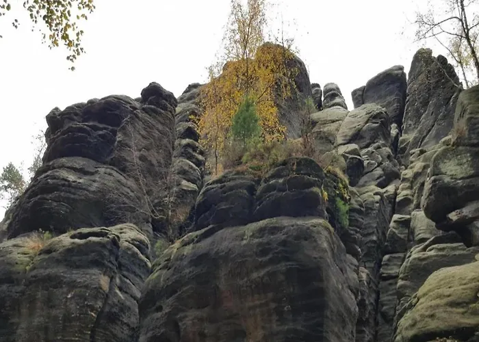 Lejlighed Chicke In *