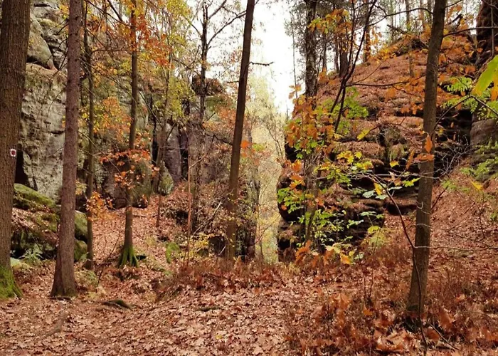 Chicke In * Struppen